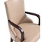 Manhattan Comfort Shubert Faux Leather and Velvet Dining Armchair in Tan -  Set of 2 2-DC055AR-TN - alternate 2